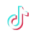 TikTok Icon